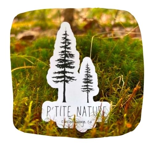 Autocollant P'tite nature