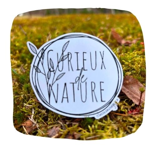 Autocollant Curieux de nature